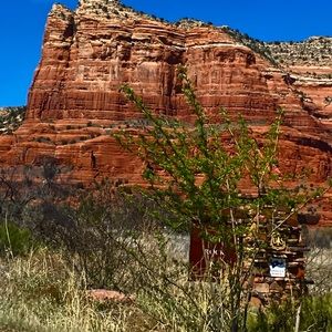 Meet your Posher, Noah